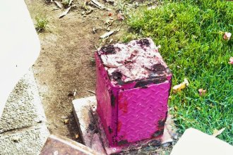 WhatsApp Image 2025-11-28 at 13.11.40.jpeg